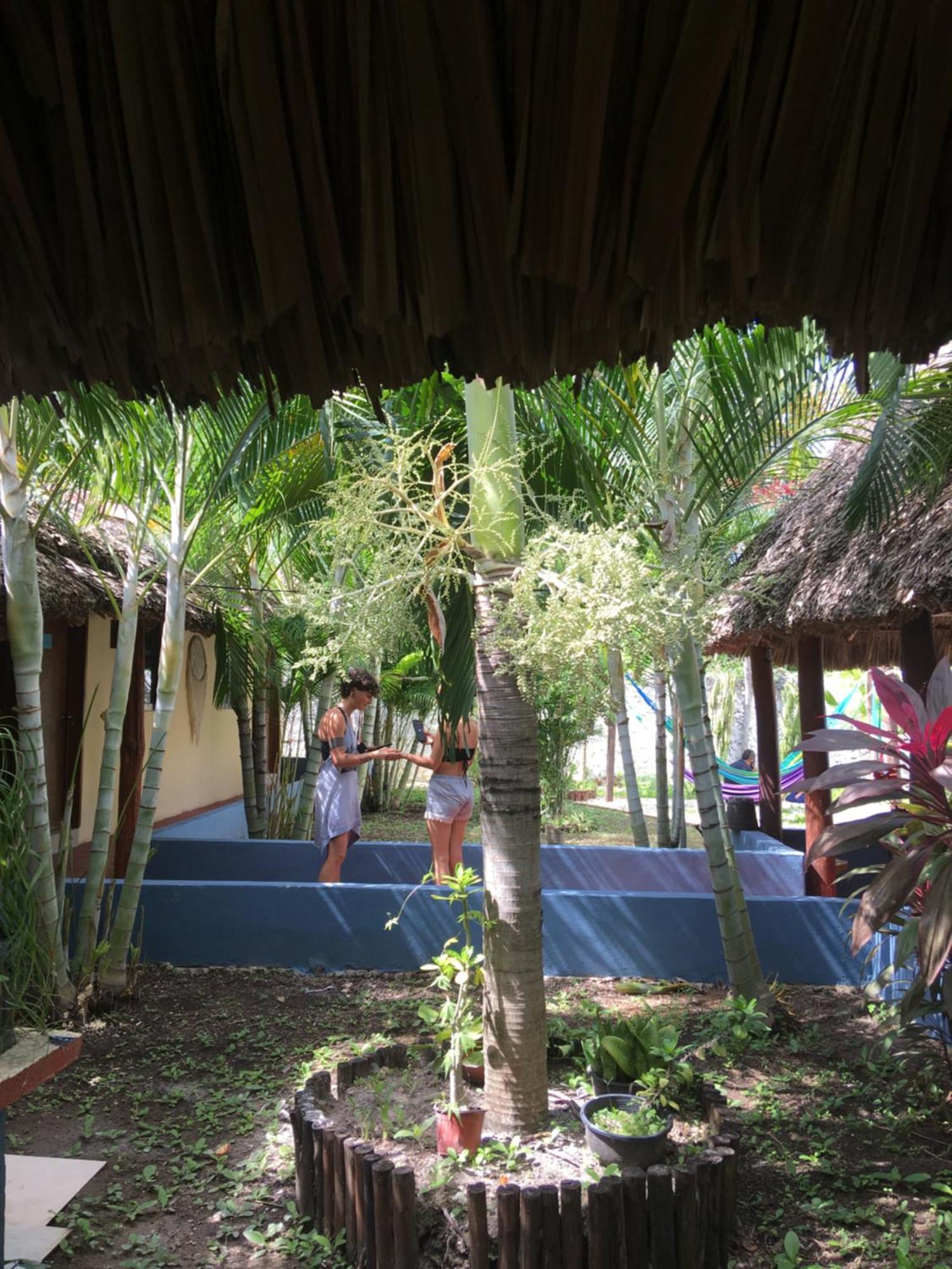 Hôtel Casa Bokoba Bacalar Extérieur photo